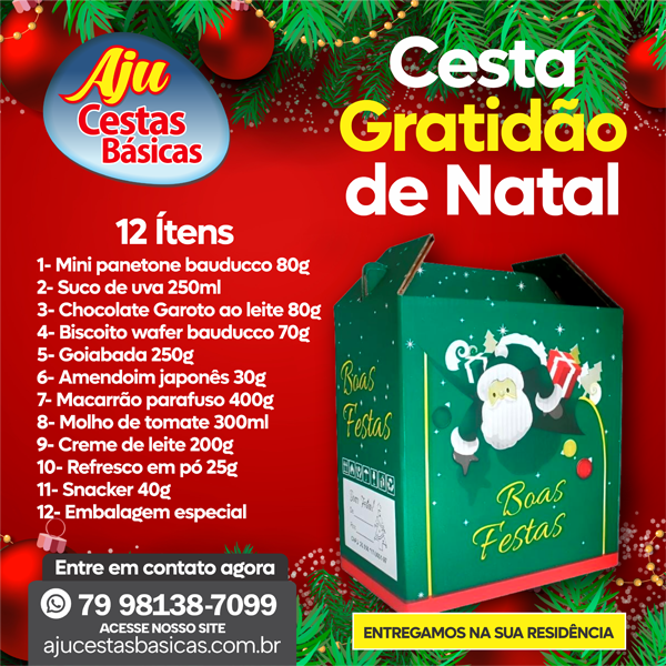 CESTA GRATIDÃO DE NATAL 12 ÍTENS